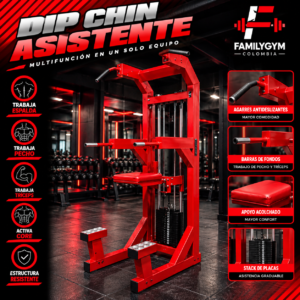 Dip chin asistente