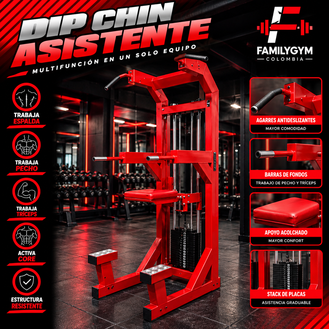 Dip chin asistente