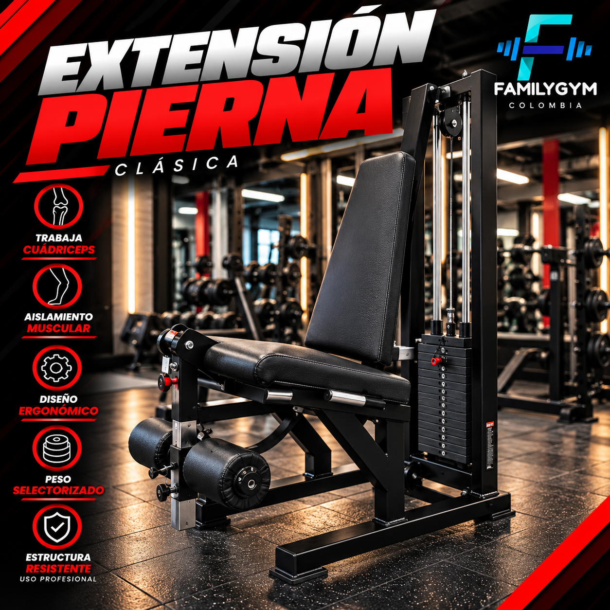 EXTENSION PIERNA CLASICA