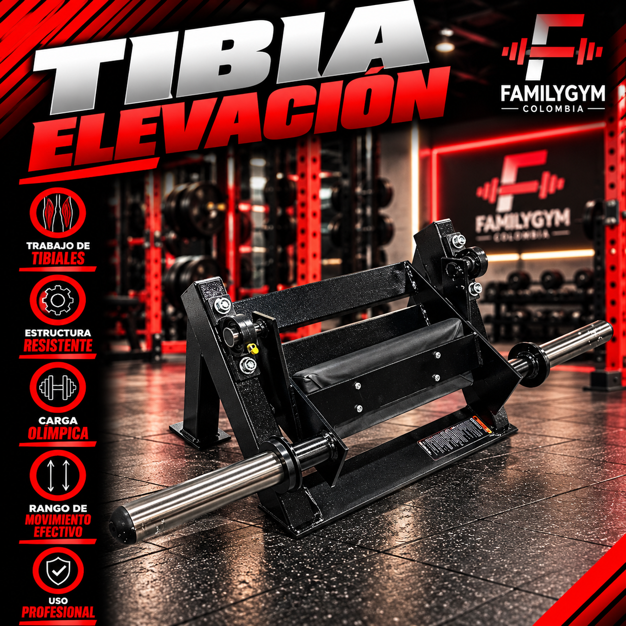Tibia Elevacion