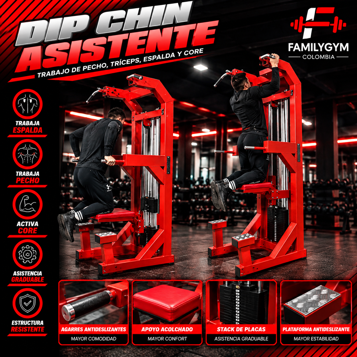 Dip chin asistente - Image 2