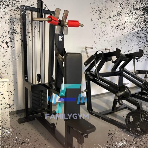 Maquina Triceps placas - Image 2