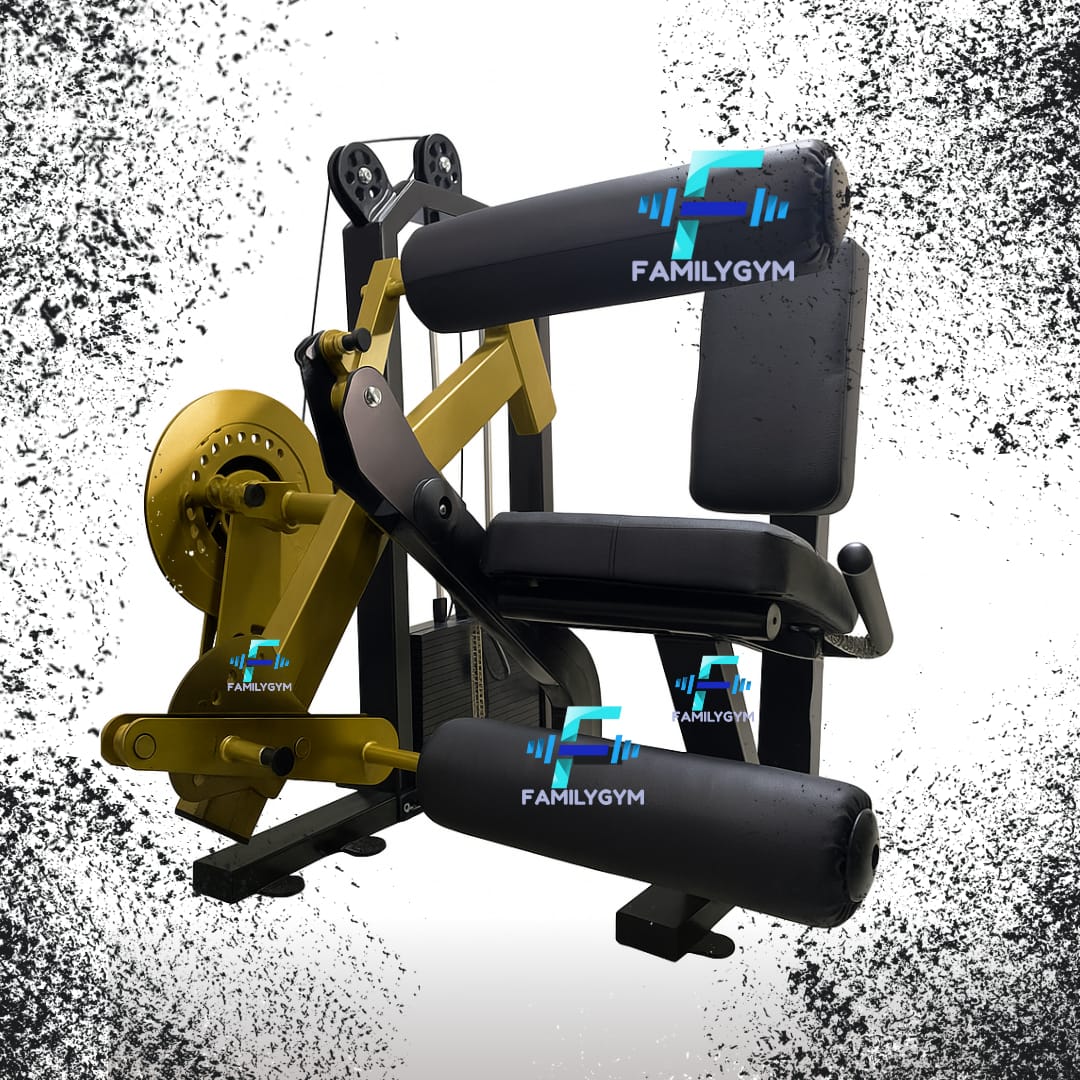 MAQUINA EXTENSION Y FEMORAL DUAL